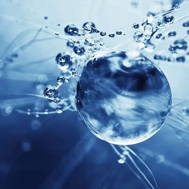 Water bubble